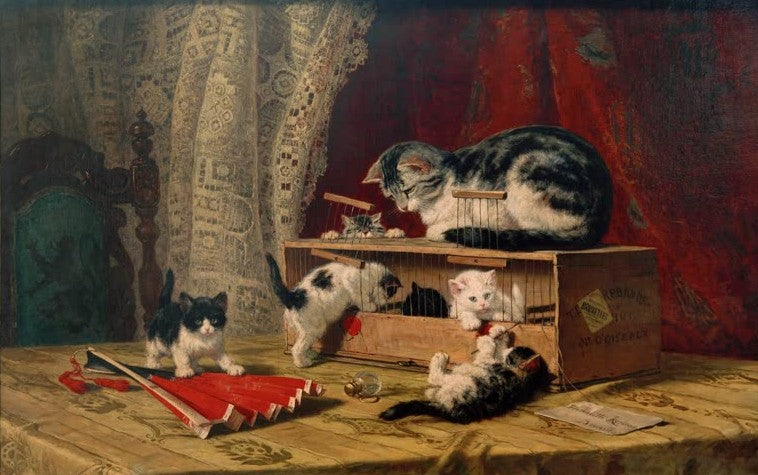 Mutterkatze mit spielenden Katzenkindern an einem Vogelvers