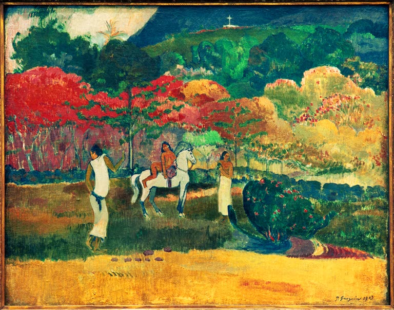 Femmes et cheval blanc
