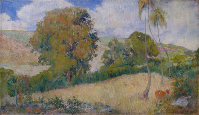Meadow on Martinique