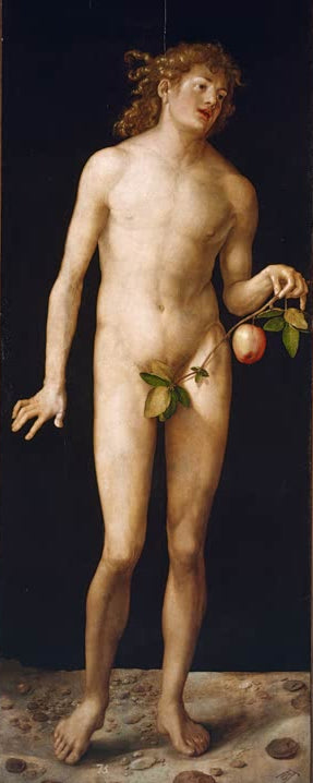 Kunstdruck des Gemäldes „Adam“ von Albrecht Dürer in hochwertiger Druckqualität. Erhältlich als Poster oder auf Leinwand, optional auch gerahmt.