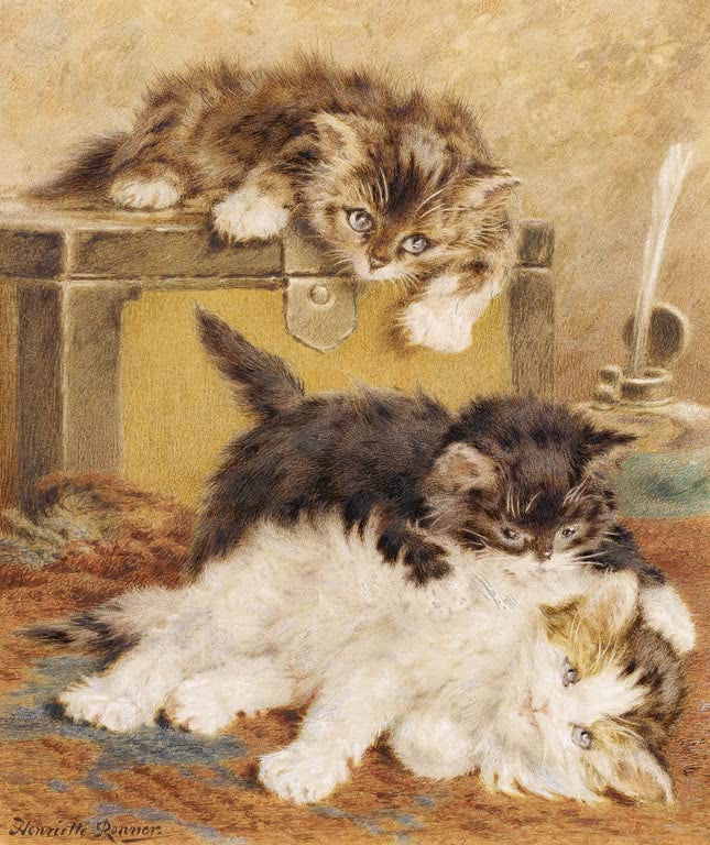Playing kittens