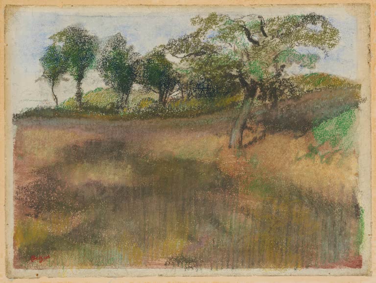 Champ labouré bordé d'arbres