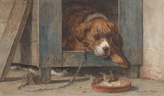 Cat spies birds with a sleeping dog