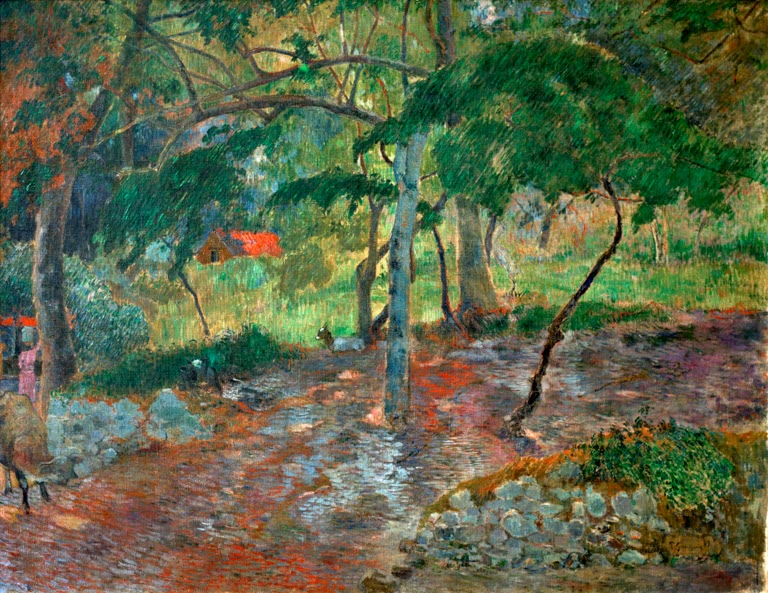 Paysage de Martinique