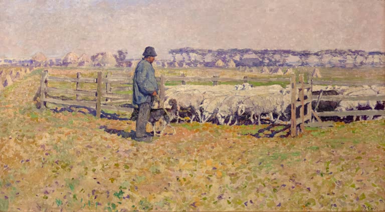 Pâturage aux moutons, matin