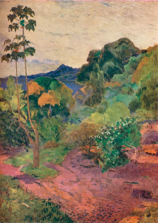 Paysage de Martinique