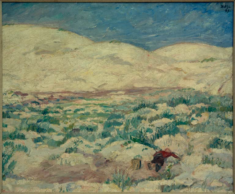 In den Wanderdünen