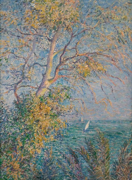 Eucalyptus
