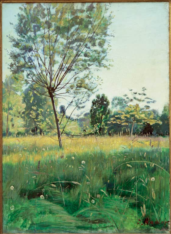 Die goldene Aue
