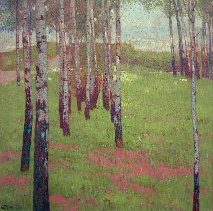 Birkenwäldchen im Abendlicht