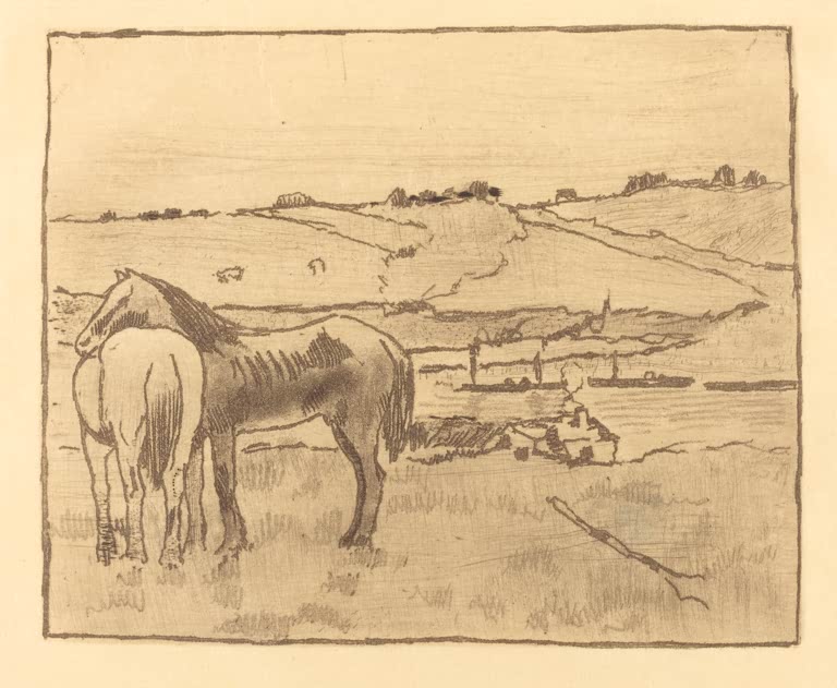Chevaux dans la prairie