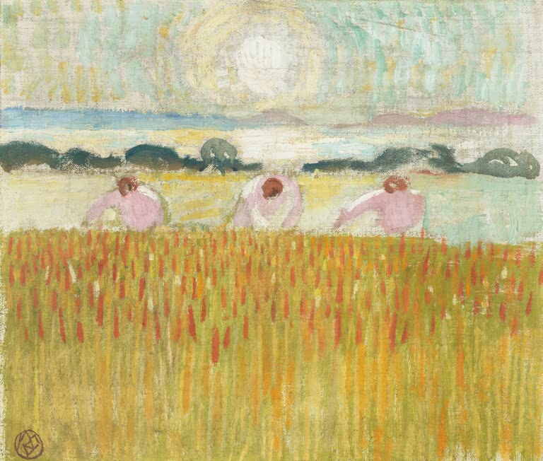 White Sun on the Corn