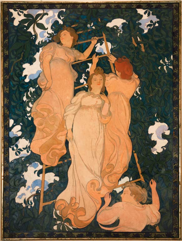 Échelle dans les feuilles