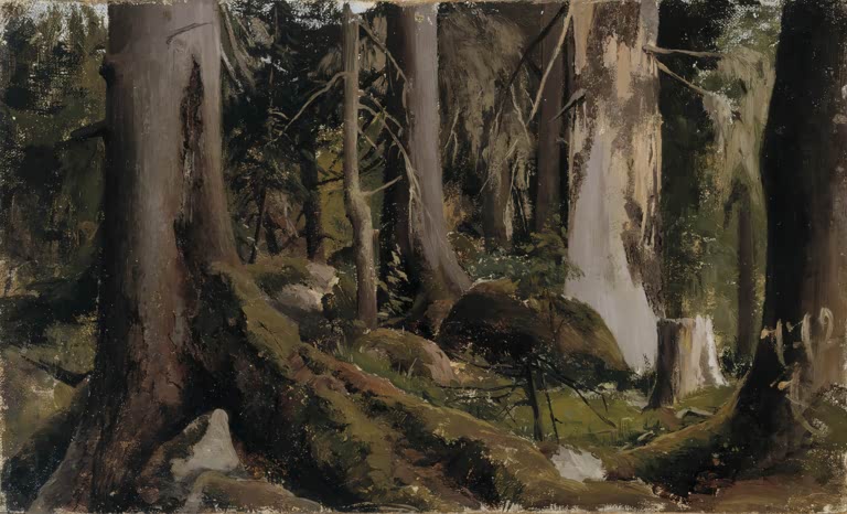 Forest study