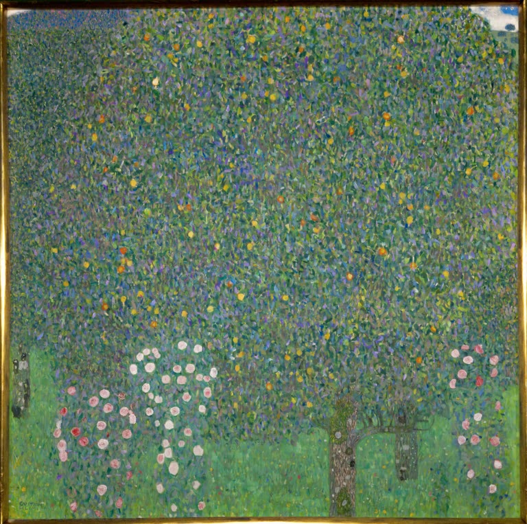 Rosiers sous les arbres