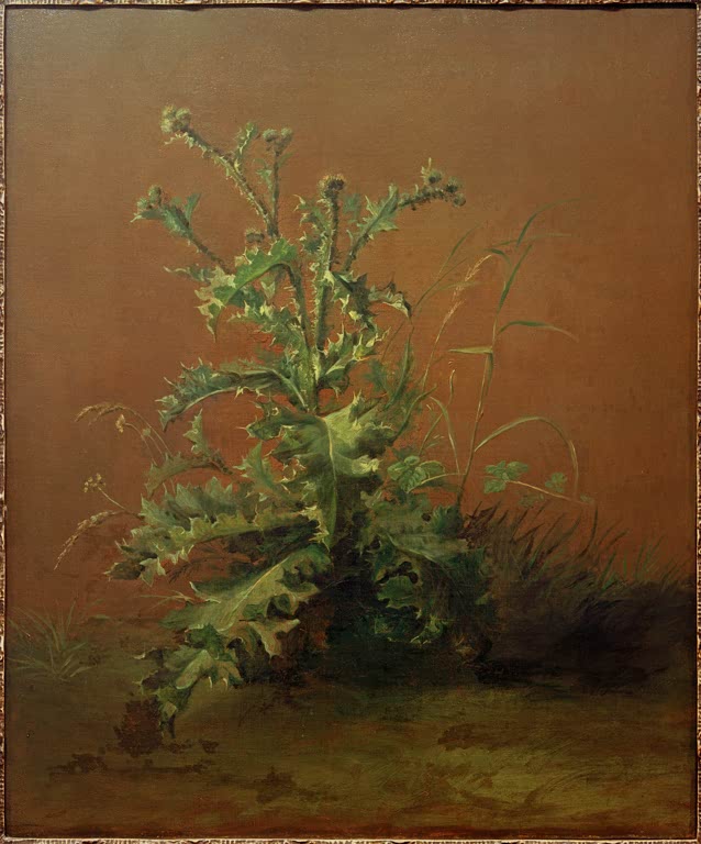 Édouard Manet Die Distel Kunstkopie, stachelige Distelpflanze mit Gräsern vor rotbraunem Hintergrund