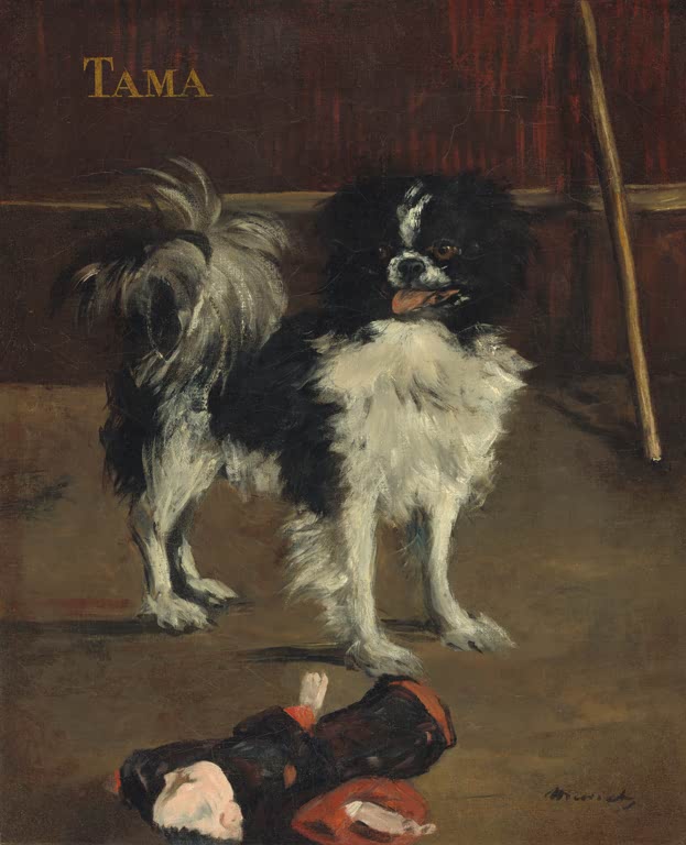Édouard Manet Tama, der japanische Hund Kunstkopie, schwarz-weißer Hund mit Spielzeugpuppe vor brauner Wand
