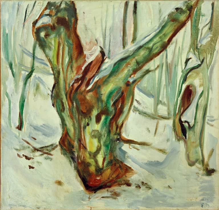 Knorriger Baumstamm im Schnee zwischen hellen Stämmen – Edvard Munch Knorriger Baumstamm im Schnee Kunstkopie