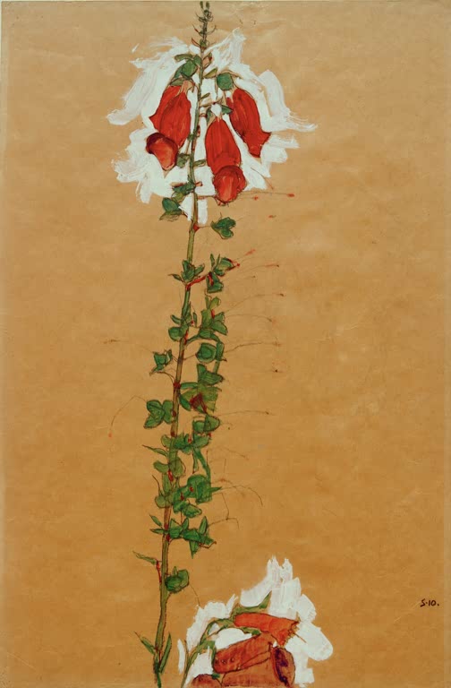 Roter Fingerhut mit weißen Blüten und grünen Blättern auf braunem Papier – Egon Schiele Roter Fingerhut Kunstkopie