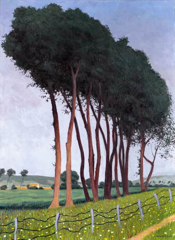 Félix Vallotton Baumreihe an blühender Wiese Kunstkopie, hohe Bäume mit rötlichen Stämmen über Blumenwiese und Zaun