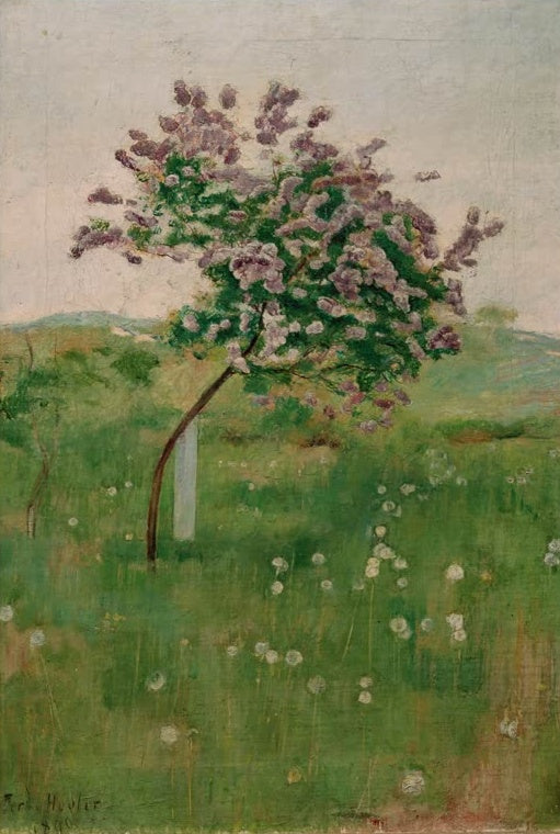 Ferdinand Hodler Der Flieder Kunstkopie, blühender Fliederbaum auf einer grünen Wiese mit Pusteblumen unter blassem Himmel