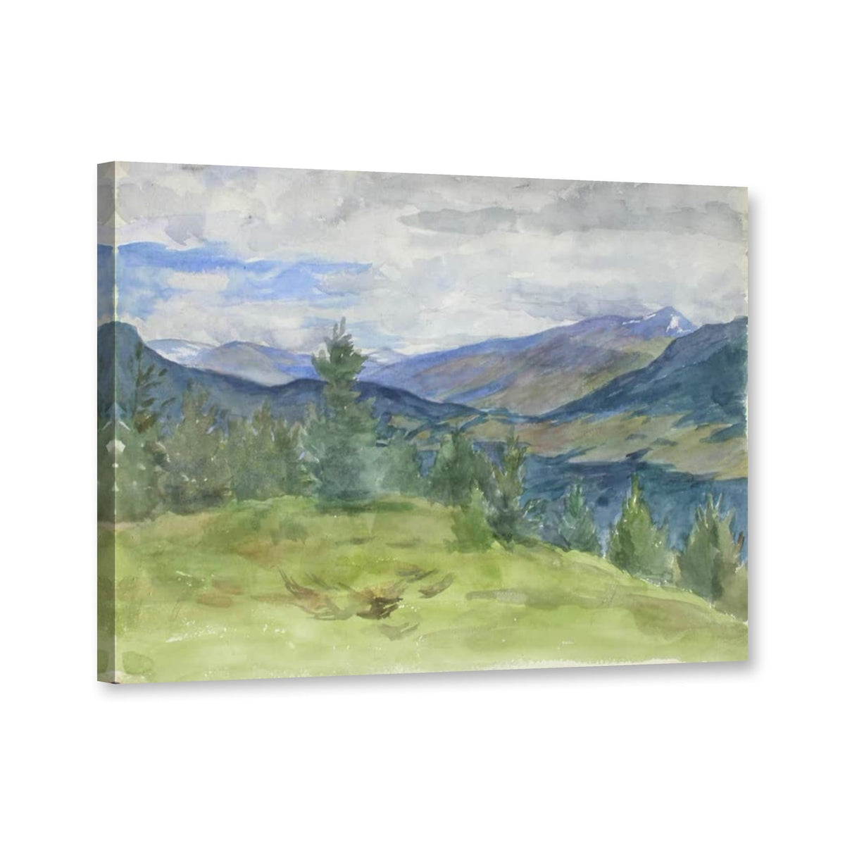 Fjälllandschaft mit Wiesenhang von Maria Wiik als Leinwand – Perspektivansicht