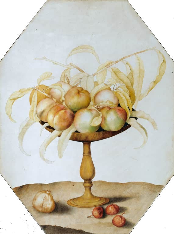 Giovanna Garzoni Fruchtschale mit Pfirsichen und Feige Kunstkopie, Pfirsiche auf goldbrauner Fußschale, achteckig