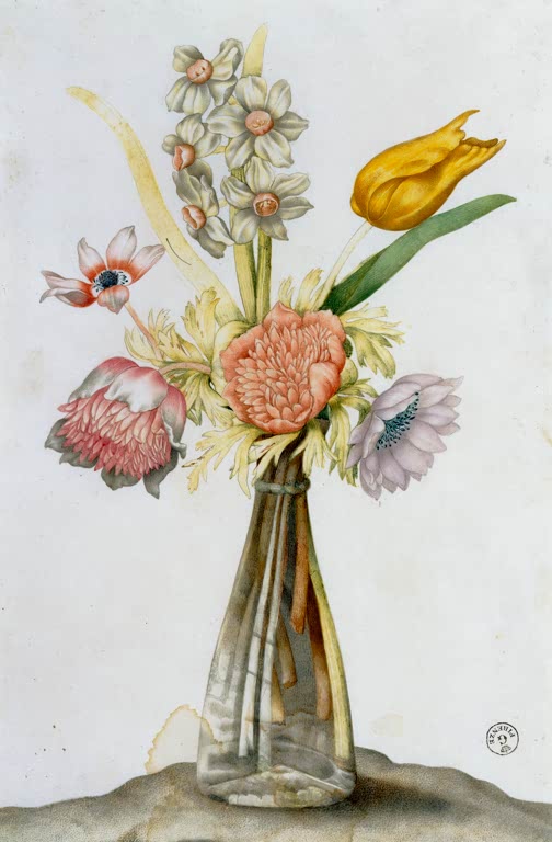 Giovanna Garzoni Glasvase mit Anemonen, Narzisse und Tulpe Kunstkopie, zarte Blüten in schlichter Glasvase