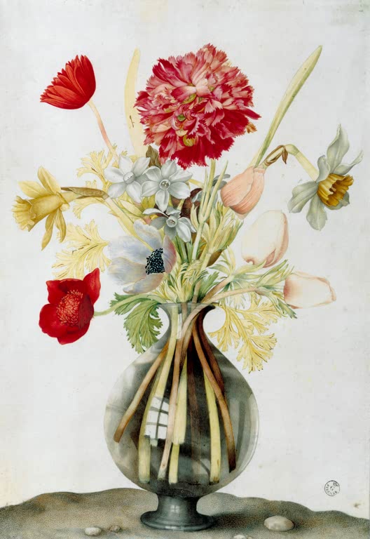 Giovanna Garzoni Glasvase mit Blumenstrauß Kunstkopie, rote Nelke, Anemonen und Narzissen in klarer Glasvase