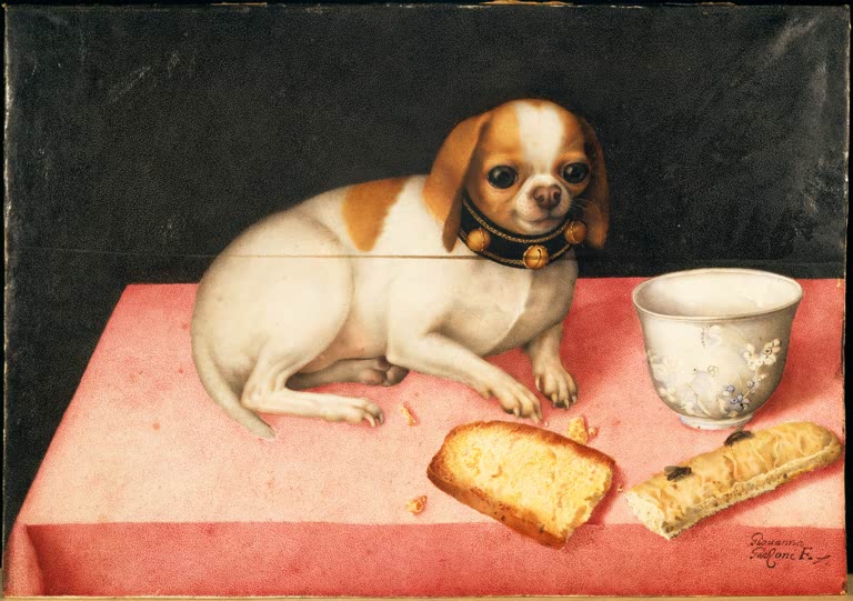 Giovanna Garzoni Hündchen mit Brotschnitte Kunstkopie, weiß-braunes Schoßhündchen auf rosa Tischtuch mit Porzellantasse