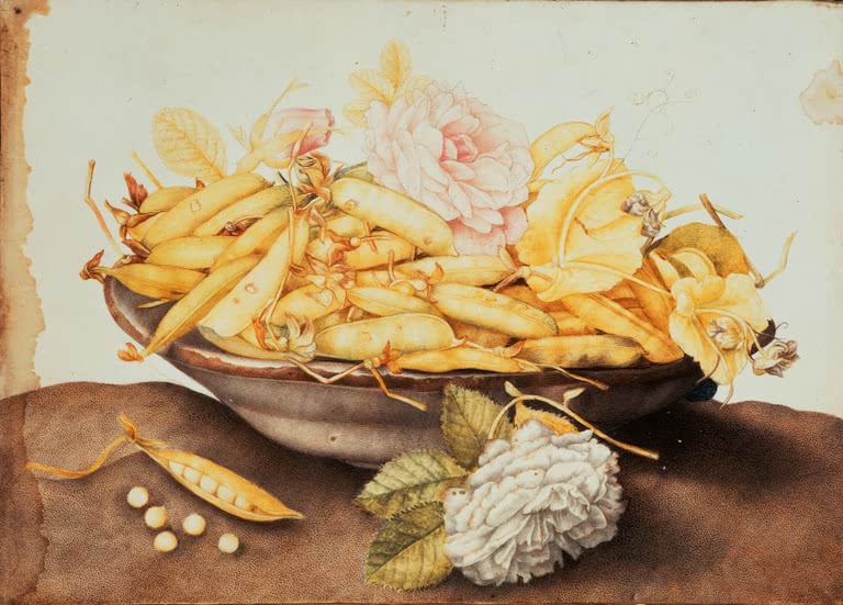 Giovanna Garzoni Schale mit Erbsenschoten und einer Rose Kunstkopie, gelbe Schoten, rosa und weiße Rose