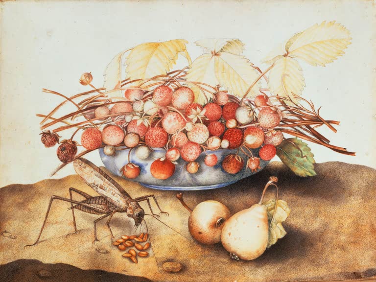Giovanna Garzoni Schale mit Erdbeeren, Birnen und Heuschrecke Kunstkopie, Walderdbeeren in blauer Porzellanschale