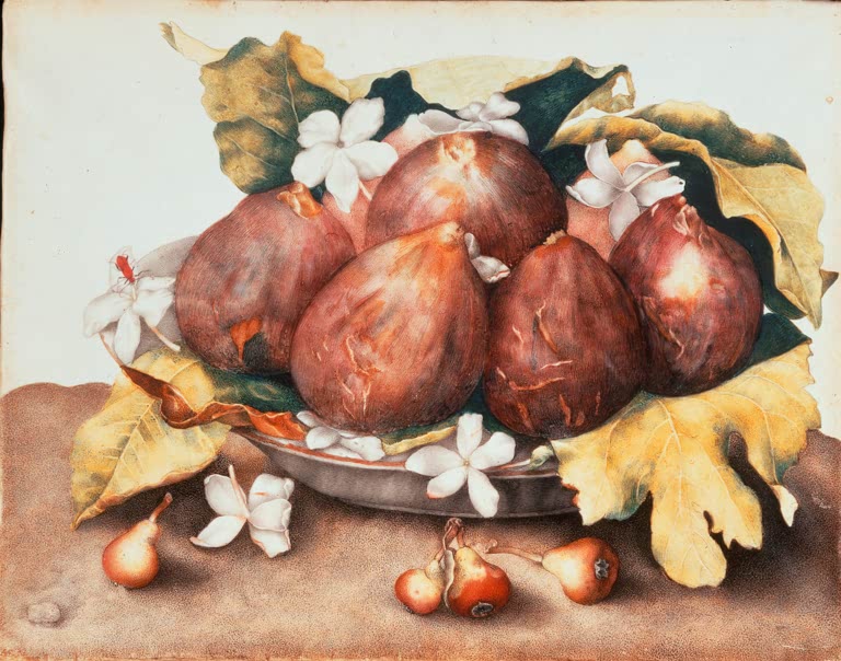 Giovanna Garzoni Schale mit Feigen und Blüten Kunstkopie, reife Feigen mit weißen Jasminblüten und kleinen Birnen