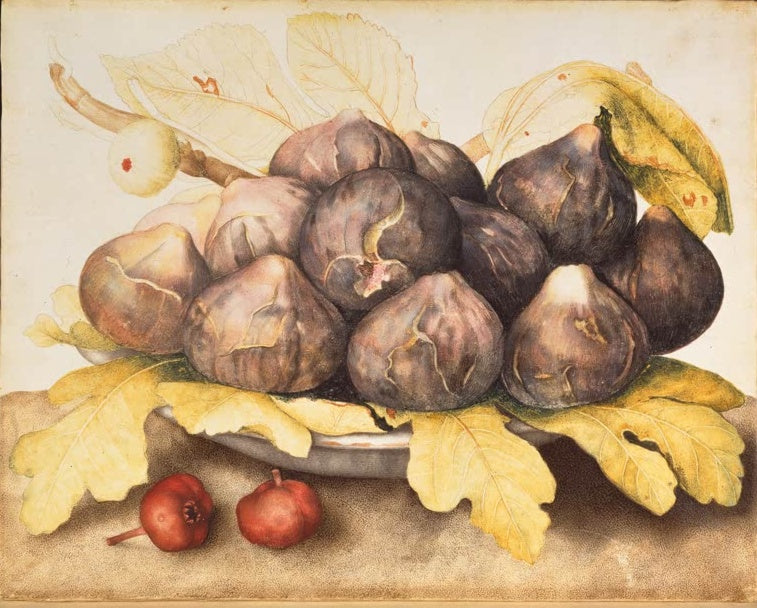 Giovanna Garzoni Schale mit Feigen Kunstkopie, violette Feigen auf gelbgrünen Blättern und zwei rote Früchte