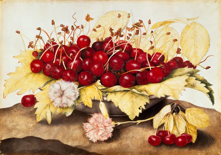 Giovanna Garzoni Schale mit Kirschen und Nelken Kunstkopie, rote Kirschen in einer Schale mit weißer und rosa Nelke