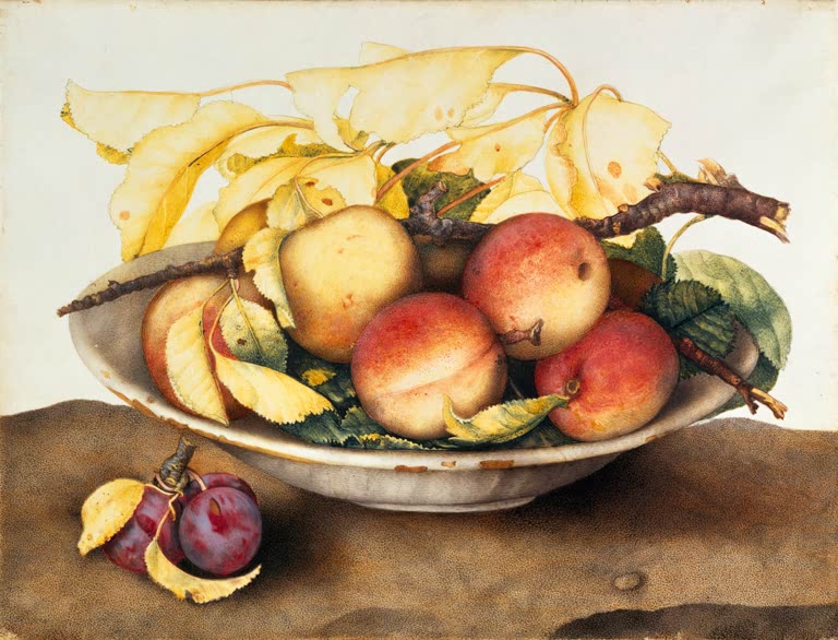 Giovanna Garzoni Schale mit Pfirsichen und Pflaumen Kunstkopie, rotwangige Pfirsiche in Schale, davor zwei Pflaumen