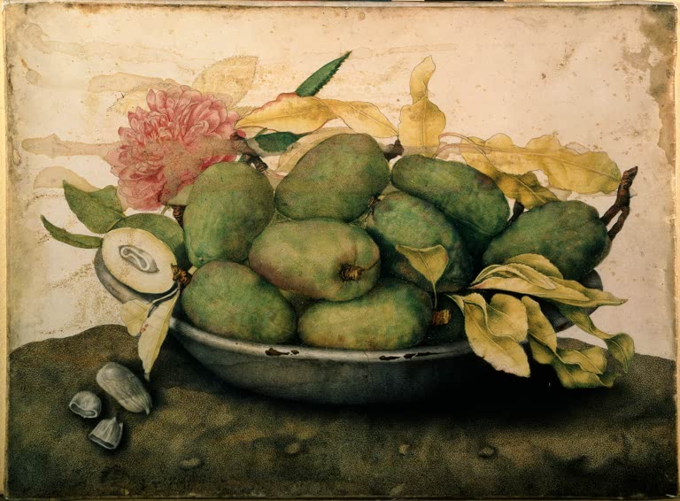 Giovanna Garzoni Schale mit Pflaumen und einer Nelke Kunstkopie, grüne Pflaumen in grauer Schale mit rosa Nelke
