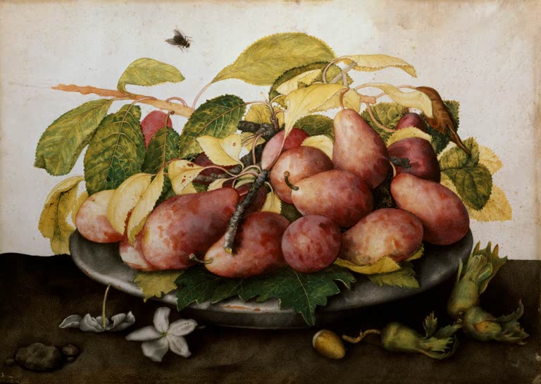 Giovanna Garzoni Schale mit Pflaumen und Haselnüssen Kunstkopie, rotviolette Pflaumen zwischen Laub, darüber eine Fliege