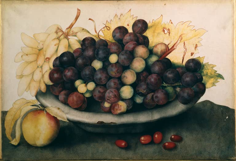 Giovanna Garzoni Schale mit Weintrauben und einer Birne Kunstkopie, violette und helle Trauben in grauer Schale