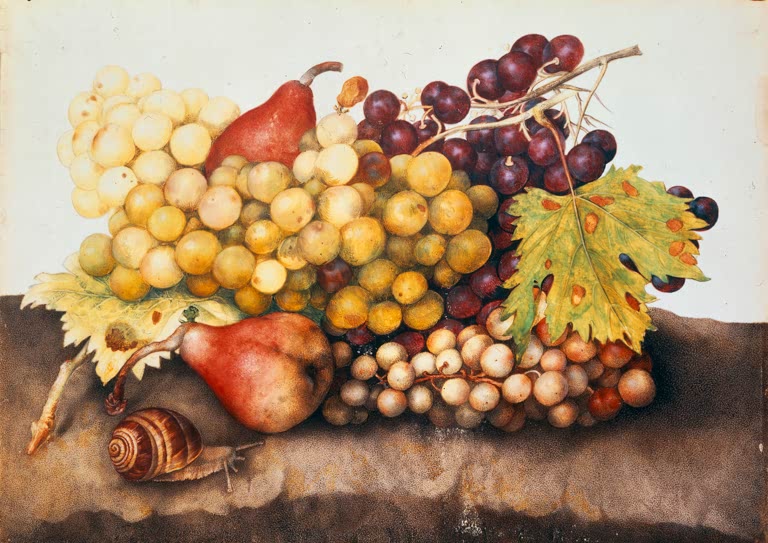 Giovanna Garzoni Stillleben mit Weintrauben, Birnen und einer Schnecke Kunstkopie, helle und dunkle Trauben am Weinblatt