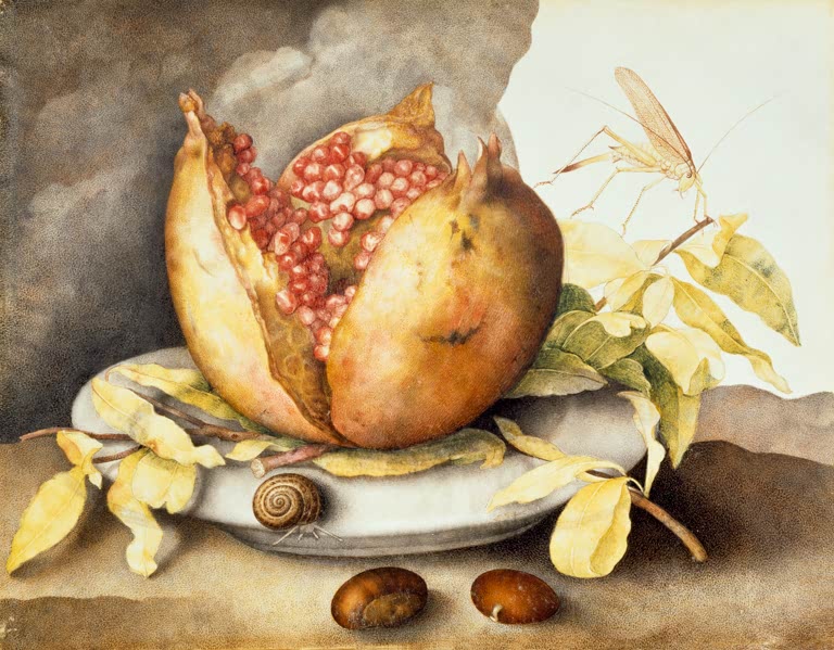 Giovanna Garzoni Teller mit Granatapfel, Kastanien und Schnecke Kunstkopie, offener Granatapfel mit Heuschrecke