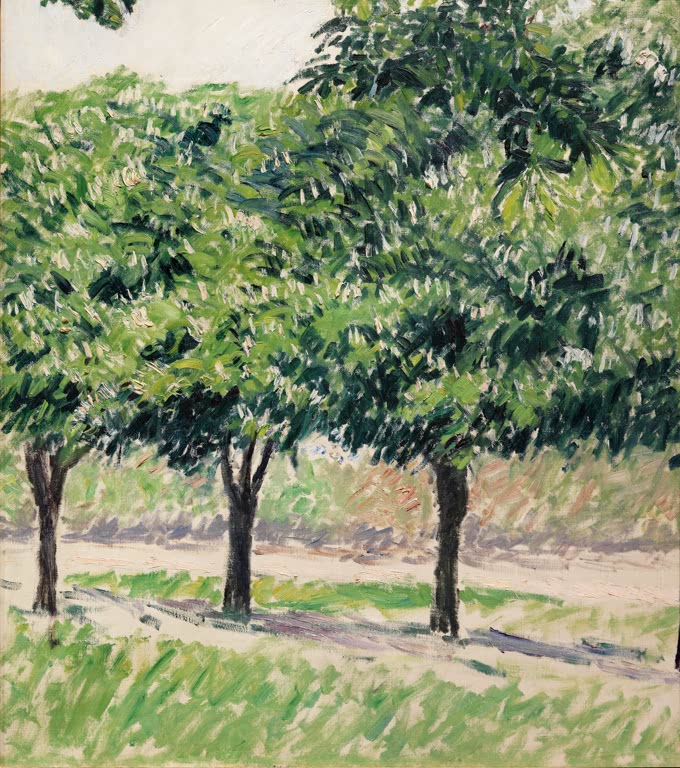 Grün belaubte Kastanienbäume mit weißen Blüten im Sonnenlicht – Gustave Caillebotte Blühende Kastanienbäume Kunstkopie