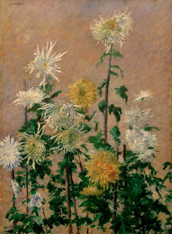 Weiße und gelbe Chrysanthemen vor rosa-braunem Grund – Gustave Caillebotte Chrysanthèmes blancs et jaunes Kunstkopie