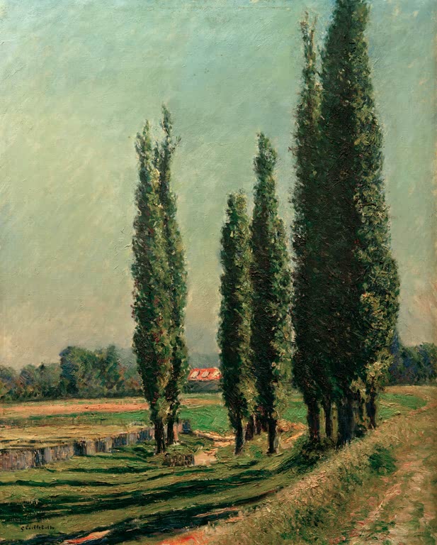 Hohe Pappeln an einem sonnigen Damm, dahinter Felder – Gustave Caillebotte Peupliers sur la digue d'Argenteuil Kunstkopie