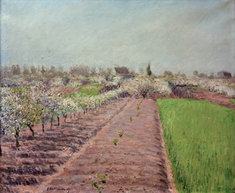 Blühende Apfelbäume entlang eines Ackerwegs neben grüner Wiese – Gustave Caillebotte Pommiers en fleurs Kunstkopie