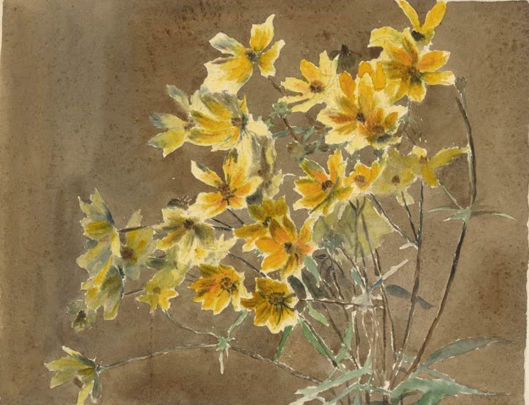 Hannah Borger Overbeck Gelb-orange Blüte mit Bordüre Kunstkopie, gelbe Blüten und dünne Stiele vor brauner Fläche