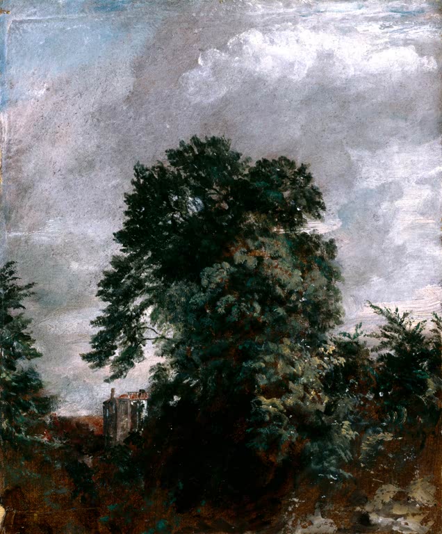 Großer dunkler Baum vor hellem Wolkenhimmel, links ein Gebäude – John Constable Blick auf The Grove, Hampstead Kunstkopie