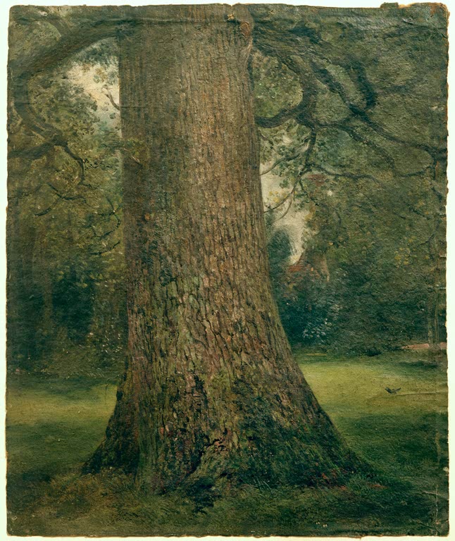 Mächtiger Baumstamm einer Ulme in einem grünen Park – John Constable Studie eines Ulmenstammes Kunstkopie