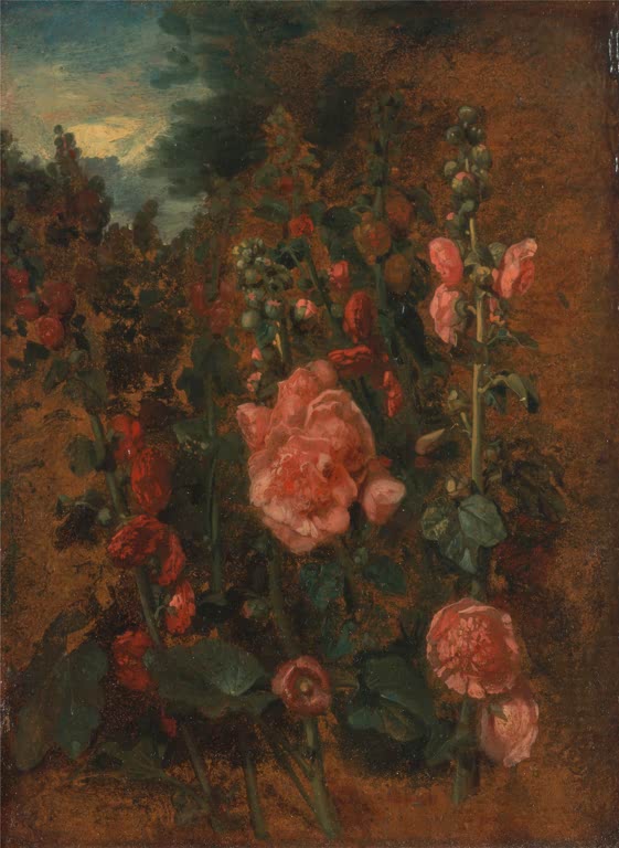 Rosa und rote Stockrosen vor dunklem Hintergrund – John Constable Studie von Stockrosen Kunstkopie