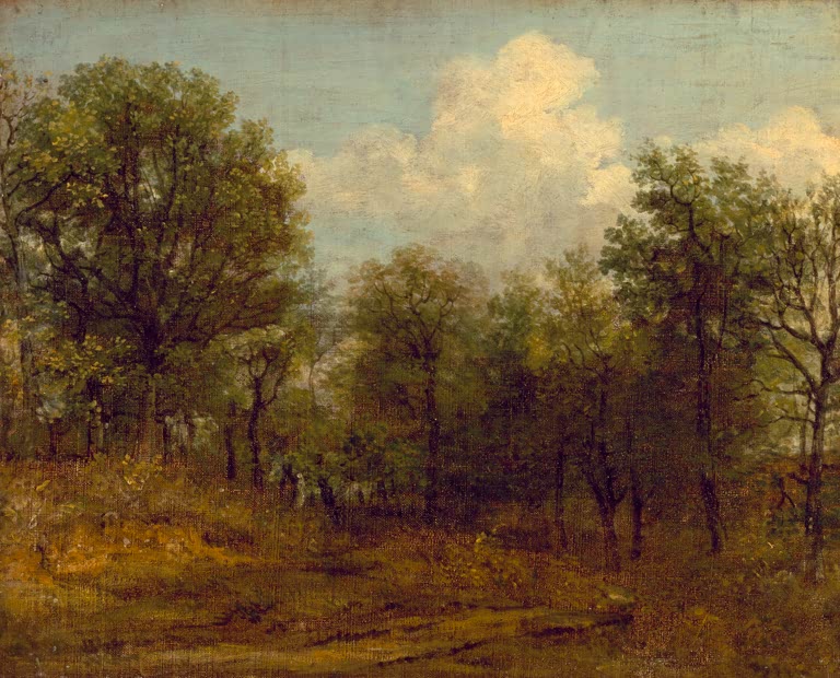 Lichter Wald mit Laubbäumen unter hellem Himmel mit weißen Wolken – John Constable Wald Kunstkopie